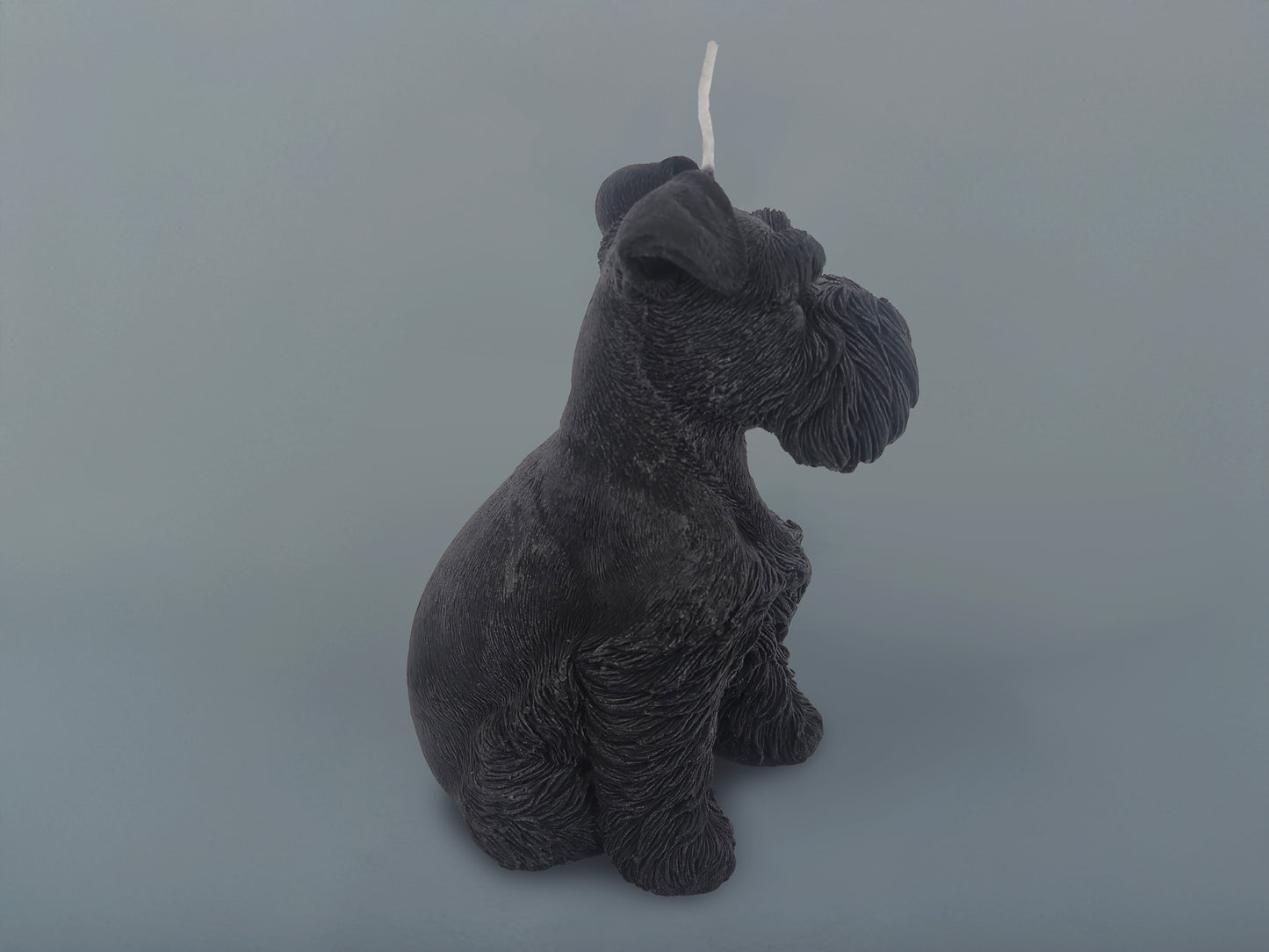 Small Schnauzer Black Candle