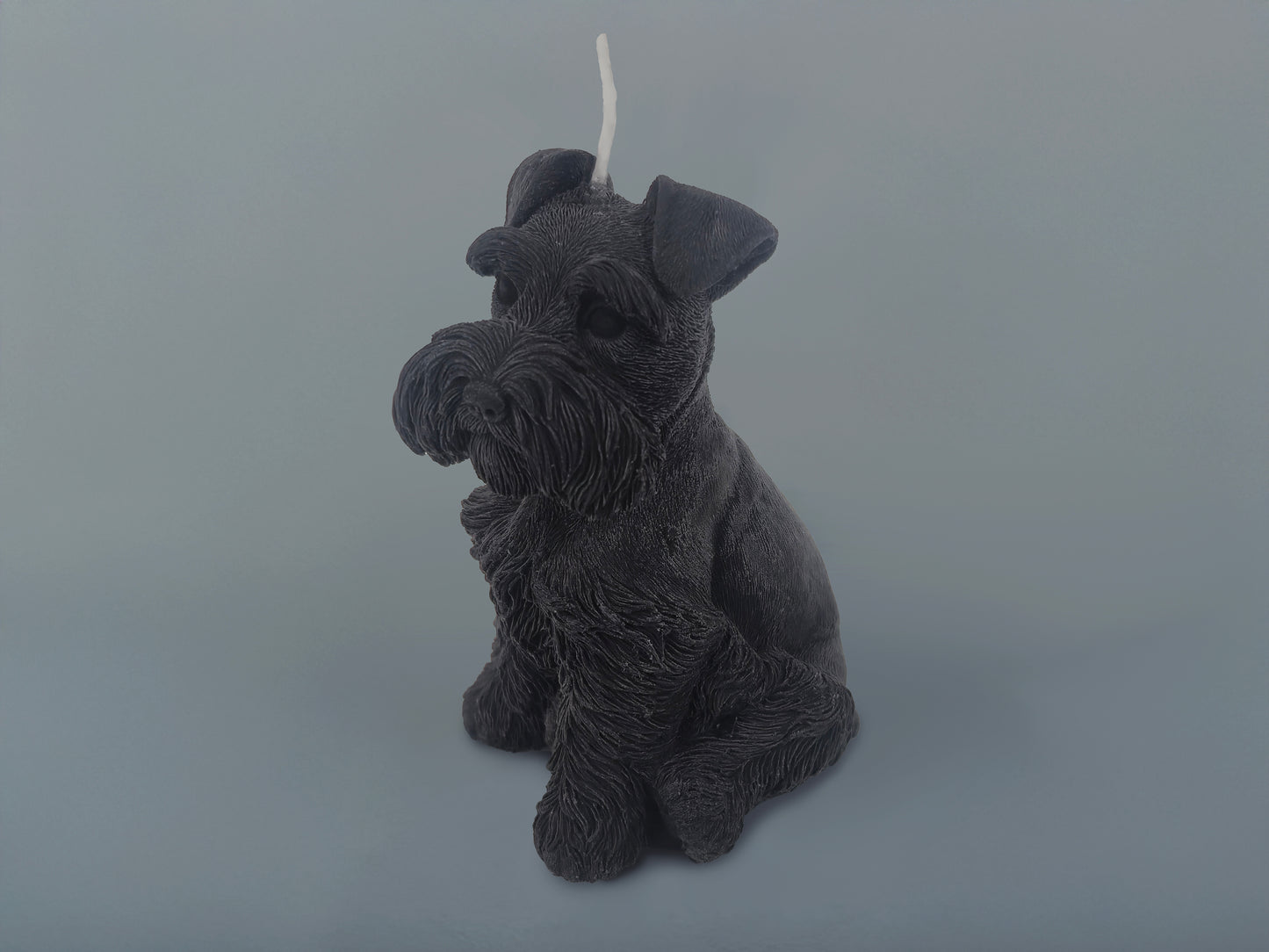 Small Schnauzer Black Candle