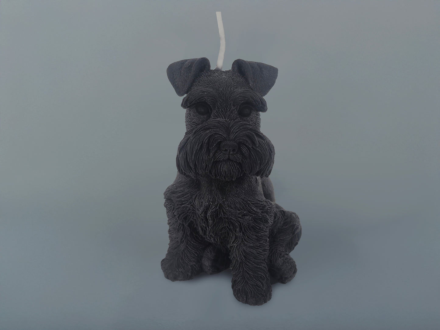 Small Black Schnauzer Candle