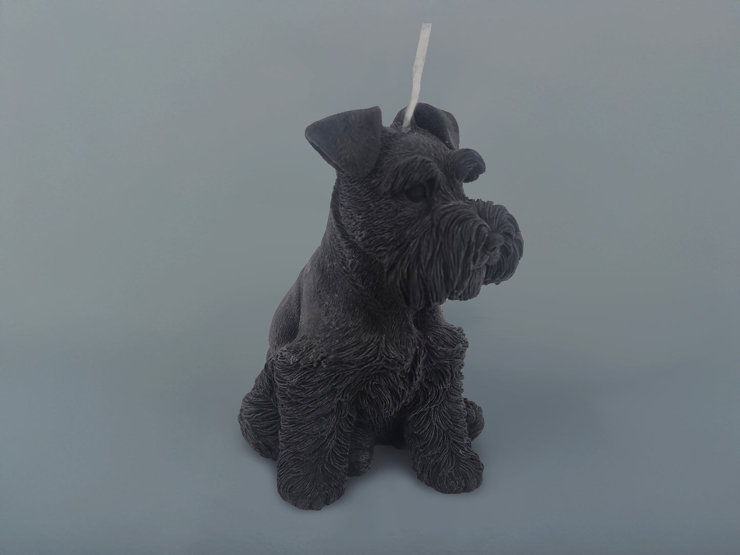 Small Schnauzer Black Candle