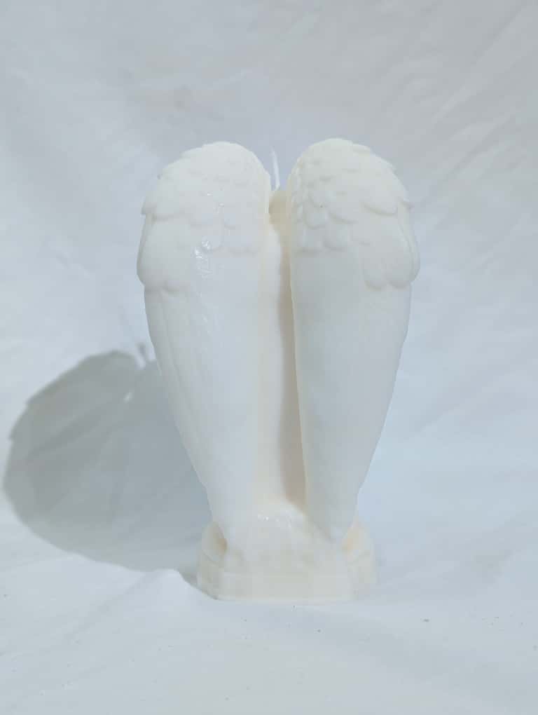 White angel wings on a white background