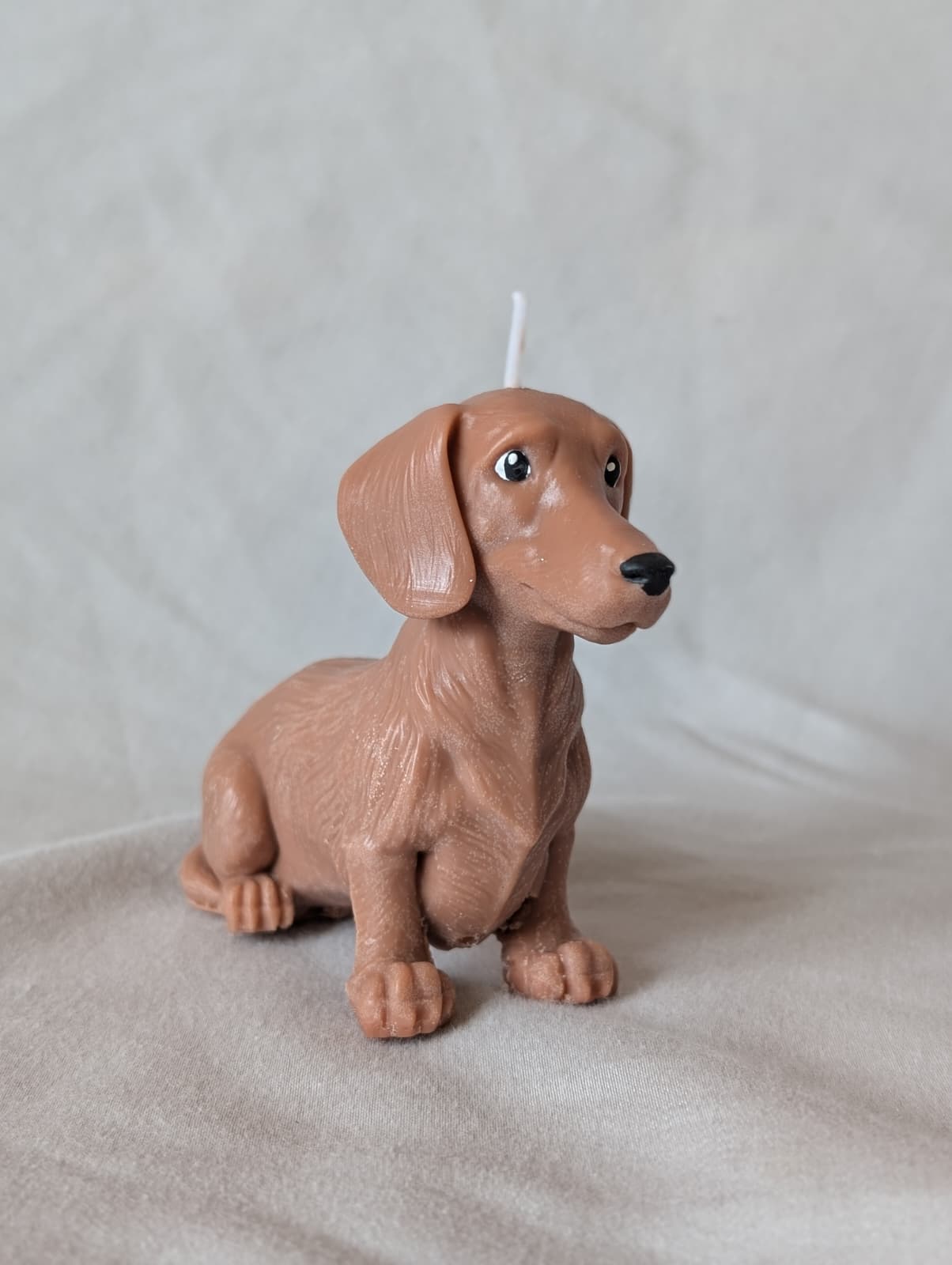 Dog-shaped candle on a plain background
