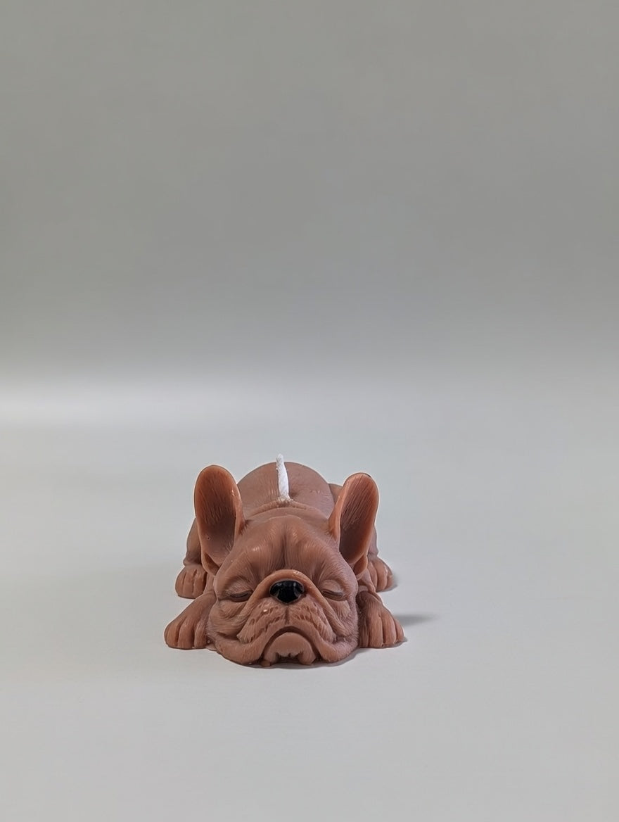 Small Brown Bulldog on a light grey background