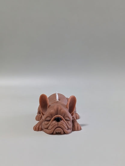 Small Brown Bulldog on a light grey background
