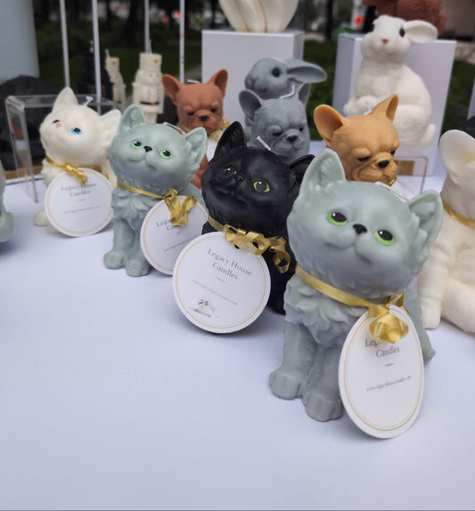 Collection of cat-shaped figurines with name tags on a table outdoors.