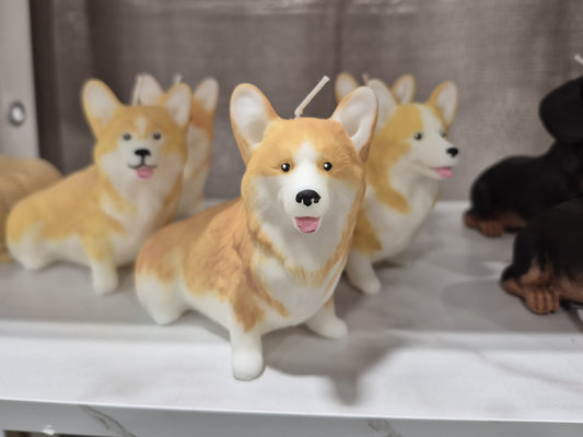 small corgi soy wax candle single colour