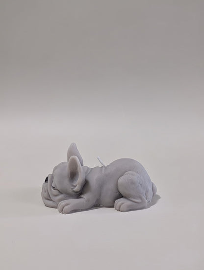 Small Grey French Bulldog laying on a light grey backdrop 
