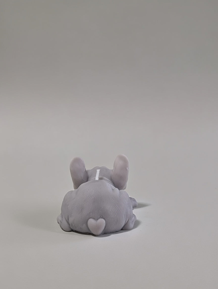 Back side of a light grey french bulldog with a heart shaped tail 