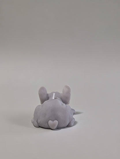 Back side of a light grey french bulldog with a heart shaped tail 
