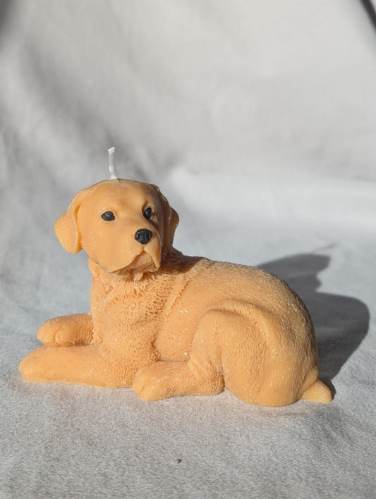 Labrador Retriever-shaped candle on a grey fabric background