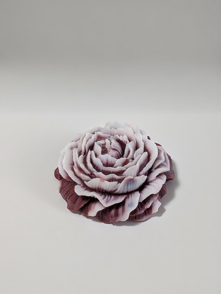 Maroon Peony flower candle with white tips on a light gray background