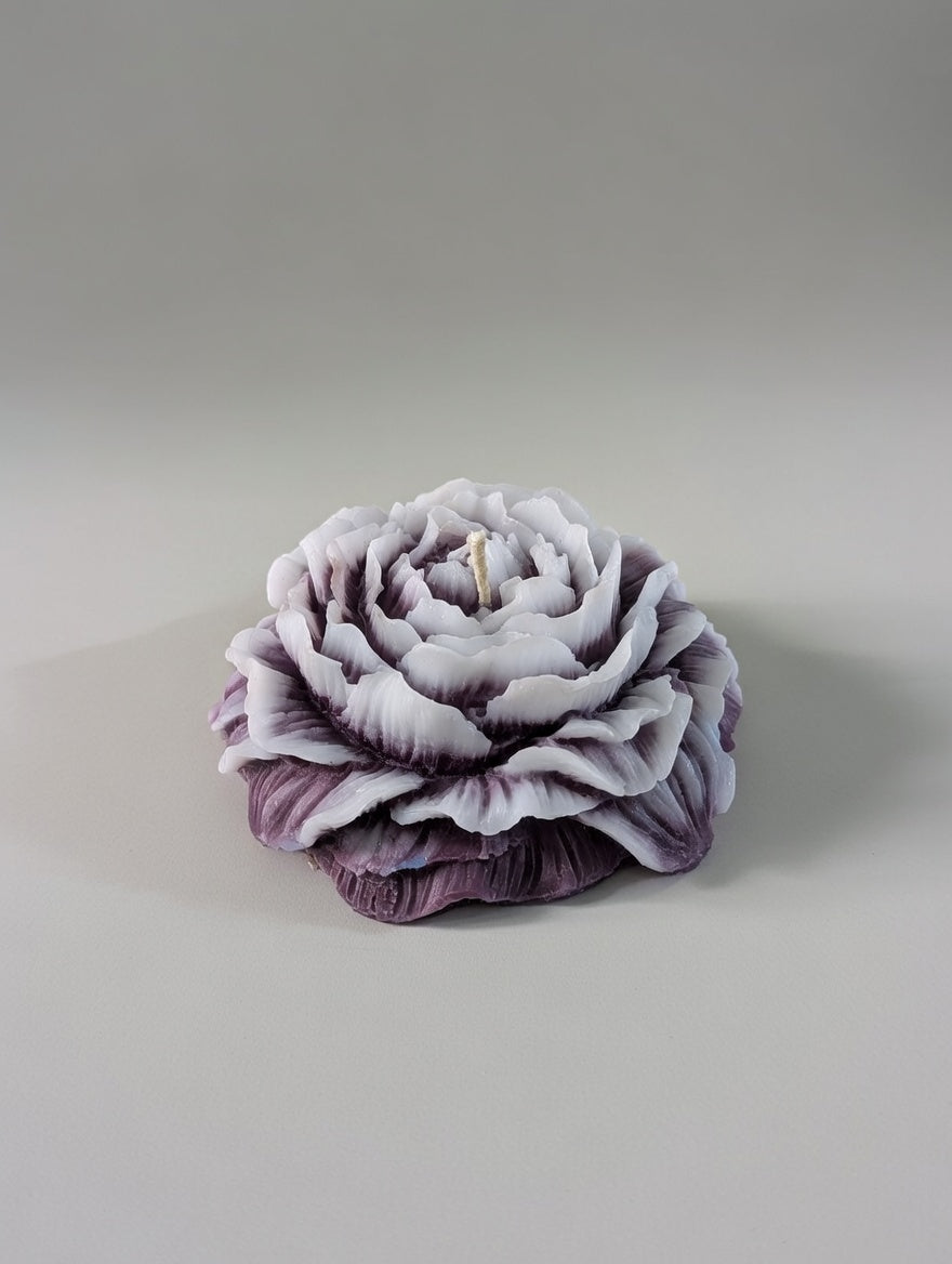 Purple Peony flower candle on a ilght grey plain background