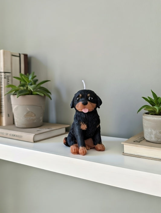 Small Rottweiler custom candle on a white shelf with simple decor pieces 