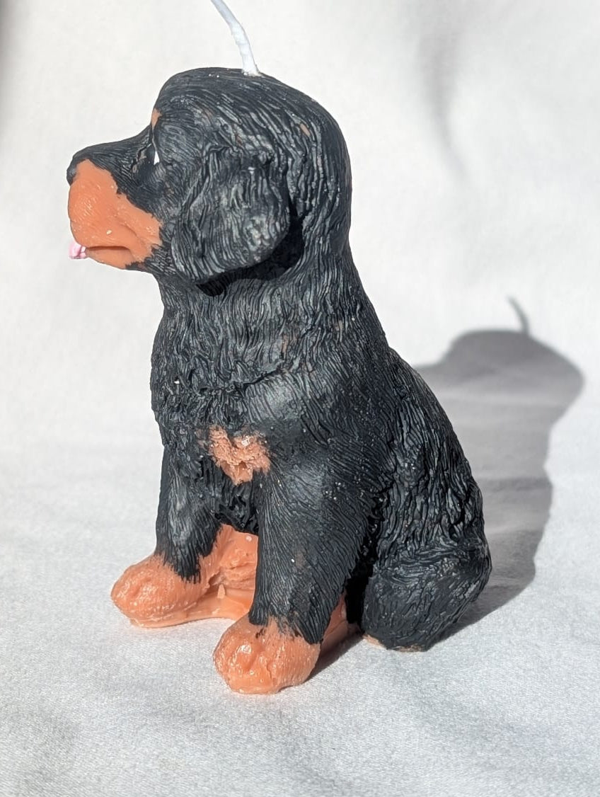 Small Rottweiler Candle on light grey surface