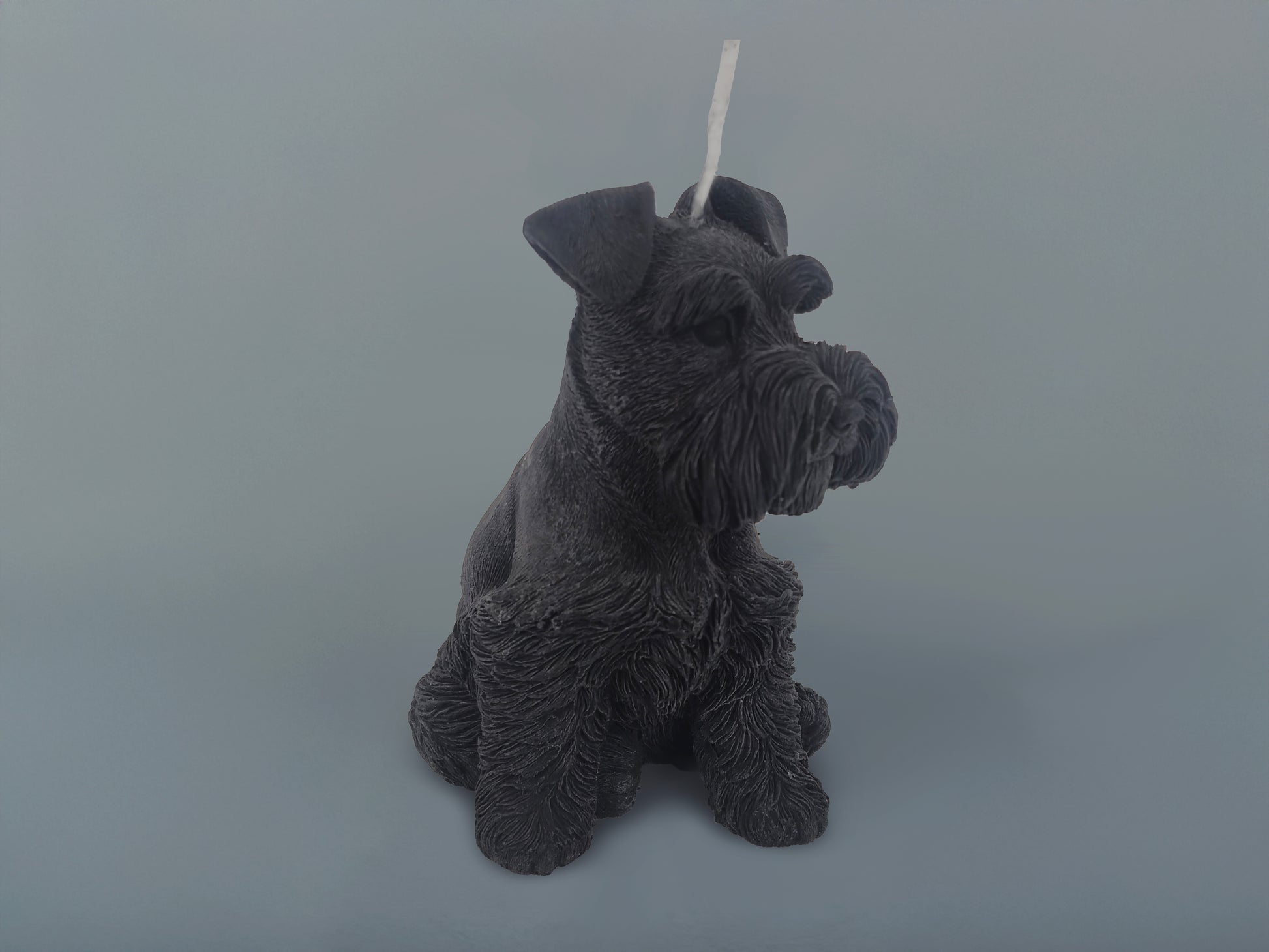 Small Schnauzer Black Candle 