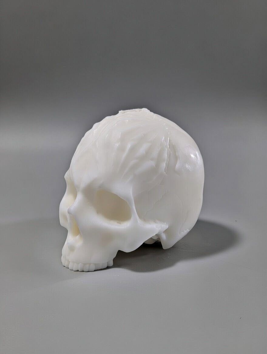 White skull sitting on a light grey background