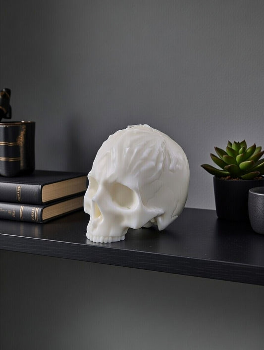 White skull sitting on a black shelf with similar decor items