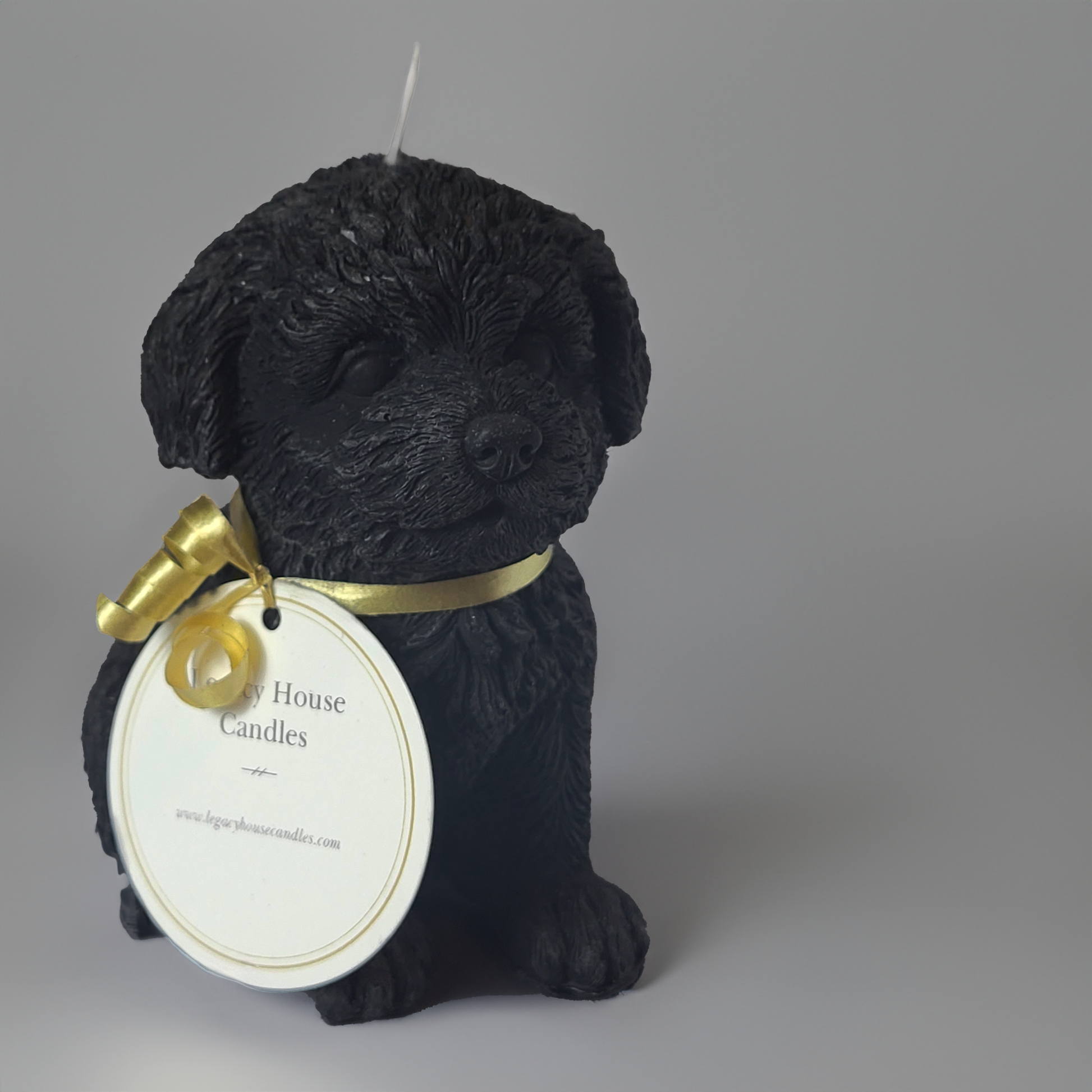 Black PuppySoy Wax Candle